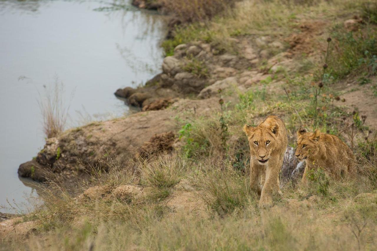 Hamiltons Tented Camp Mluwati Concession Zewnętrze zdjęcie