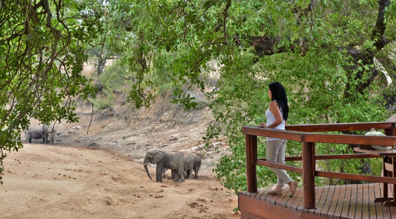 Hamiltons Tented Camp Mluwati Concession Zewnętrze zdjęcie
