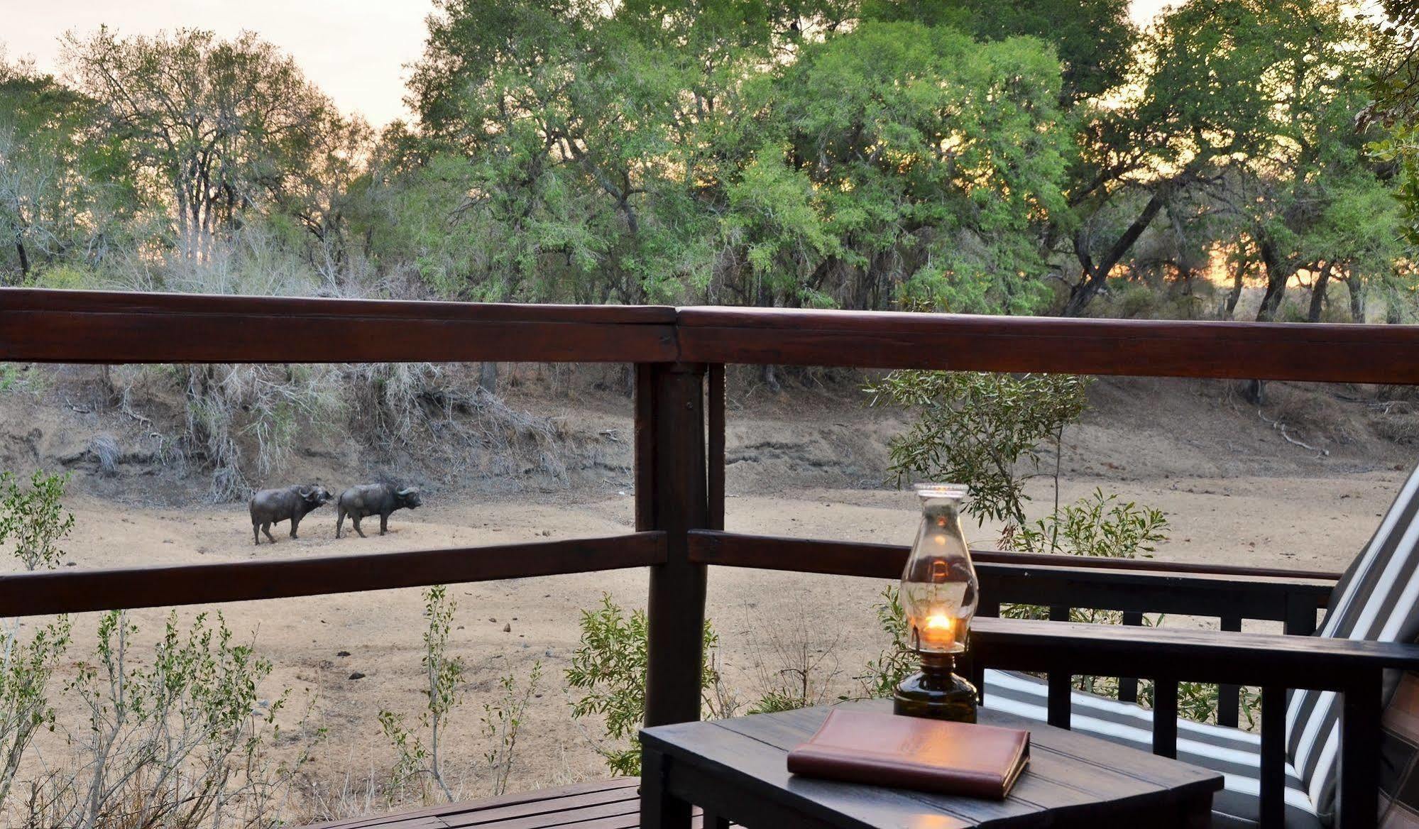 Hamiltons Tented Camp Mluwati Concession Zewnętrze zdjęcie