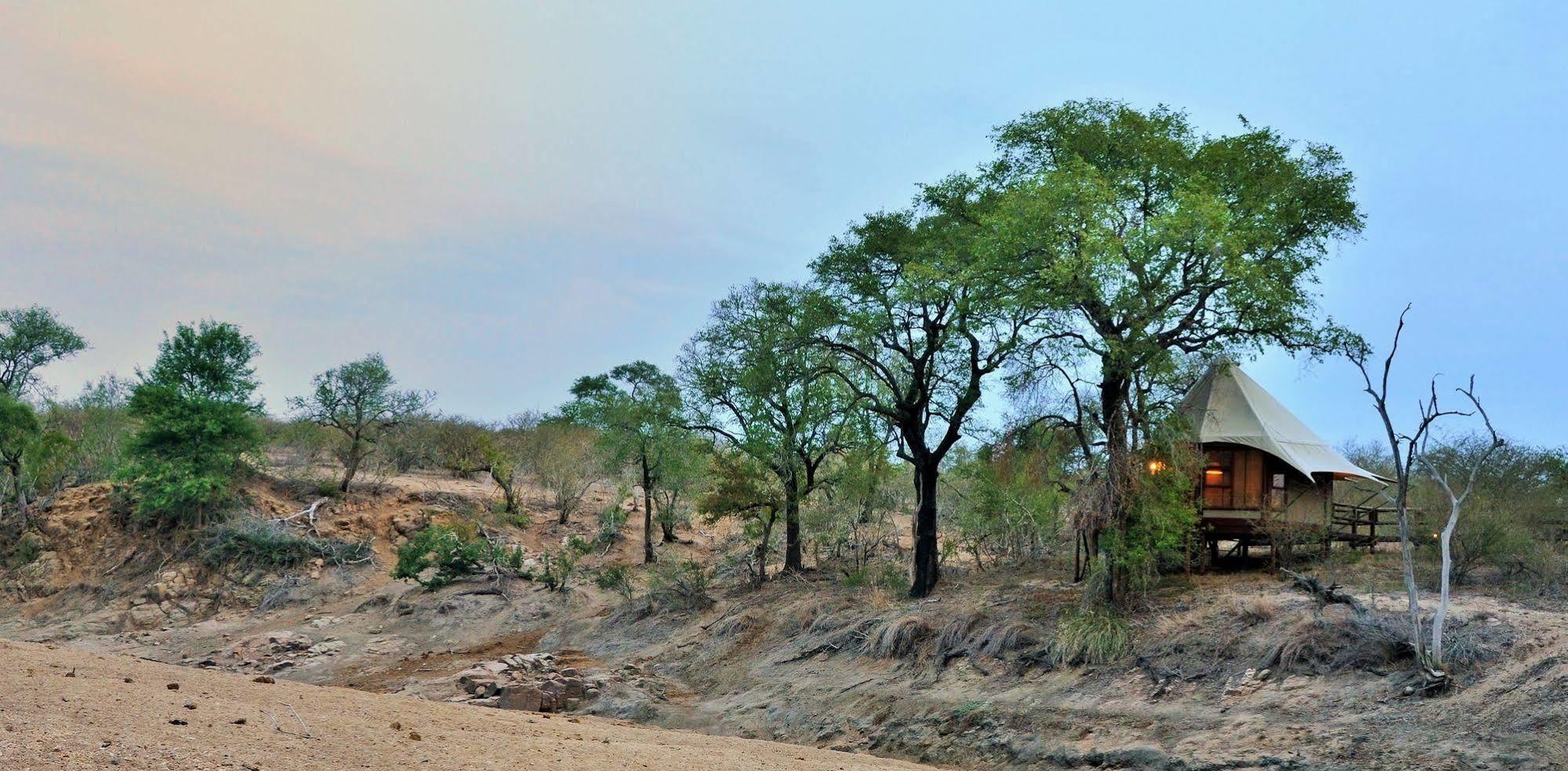 Hamiltons Tented Camp Mluwati Concession Zewnętrze zdjęcie